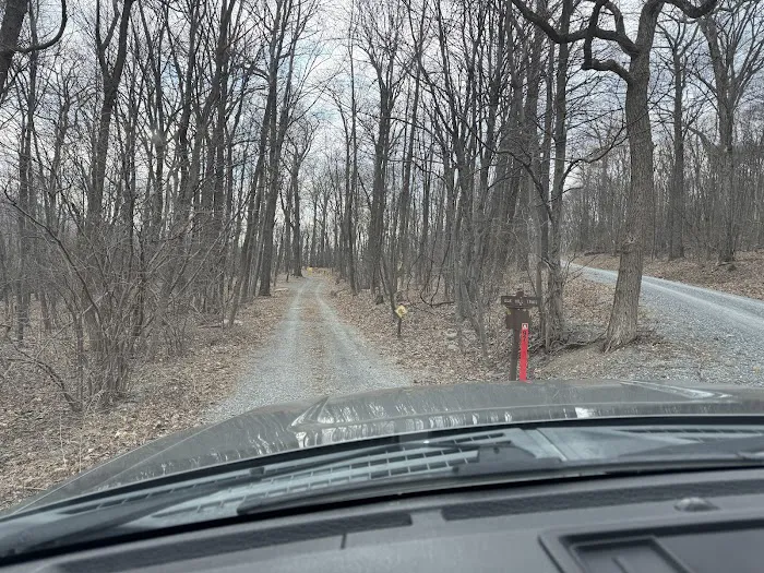 Tuscarora State Forest Campsite 097 Picture 1