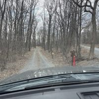 Tuscarora State Forest Campsite 097 ico