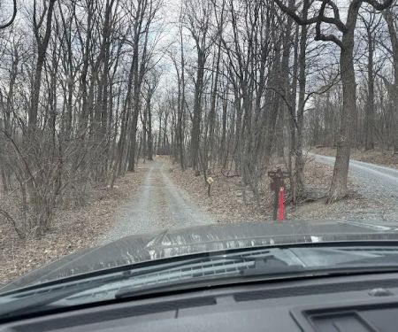 Tuscarora State Forest Campsite 097