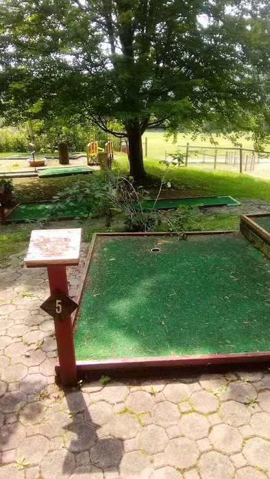 Gram and Paps Fort Bellefonte Campground Picture 3