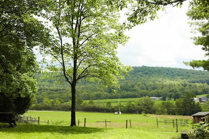 The Bellefonte Campground Picture 5