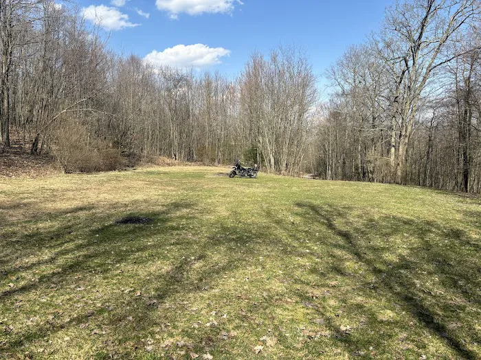 Rothrock State Forest Campsite #6 Picture 8