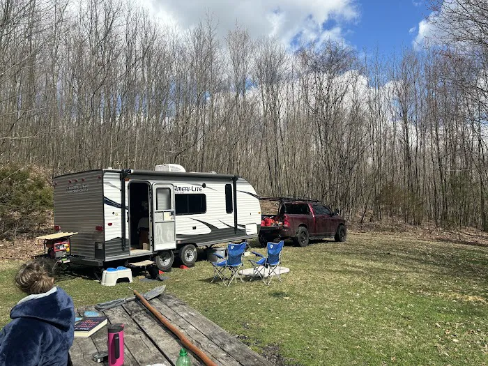 Rothrock State Forest Campsite #6 Picture 6