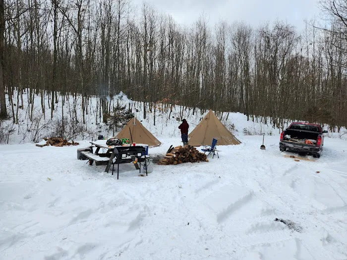 Rothrock State Forest Campsite #6 Picture 3