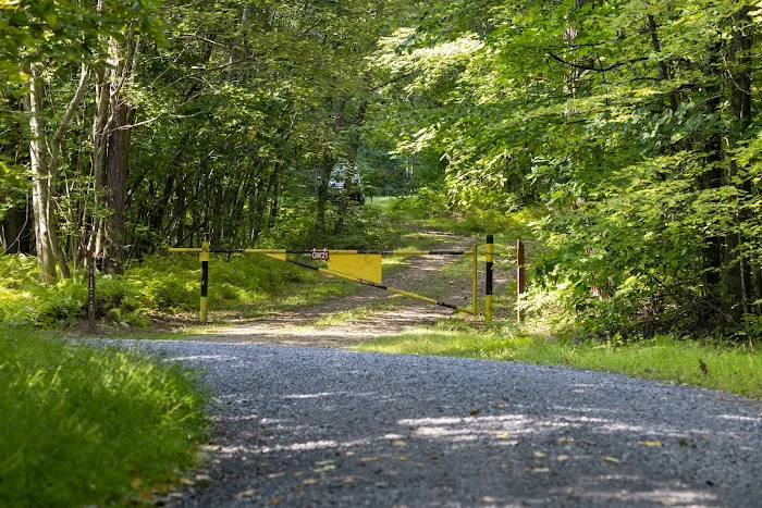 Rothrock State Forest Campsite #6 Picture 2