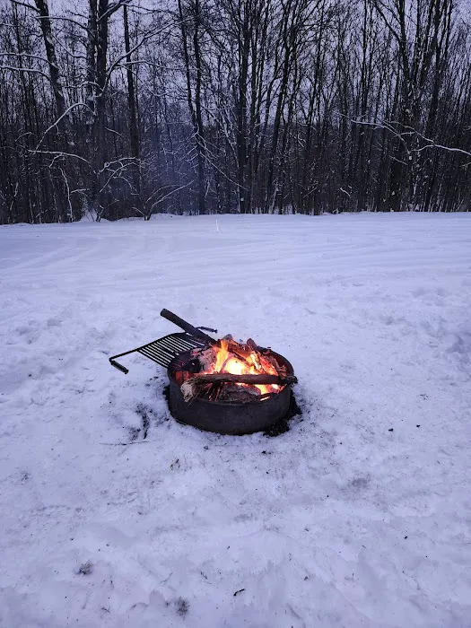 Rothrock State Forest Campsite #6 Picture 7
