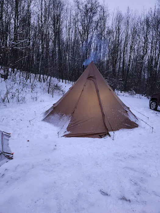 Rothrock State Forest Campsite #6 Picture 5