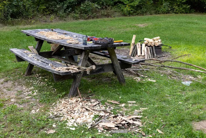 Rothrock State Forest Campsite #6 Picture 9