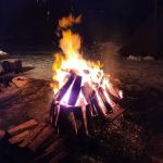 Rothrock State Forest Campsite #6