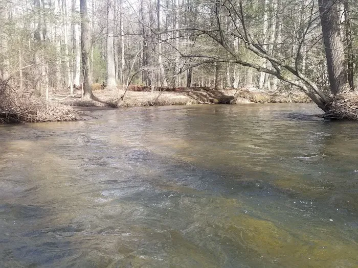 Pinegrove Furnace Group Campground Picture 10