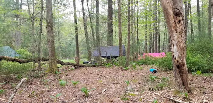 Pinegrove Furnace Group Campground Picture 9