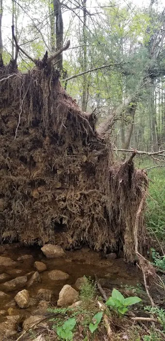 Pinegrove Furnace Group Campground Picture 6