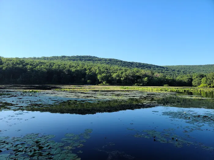 Pinegrove Furnace Group Campground Picture 1