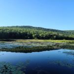 Pinegrove Furnace Group Campground