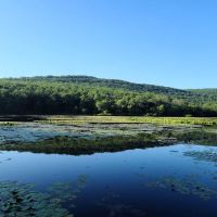 Pinegrove Furnace Group Campground ico