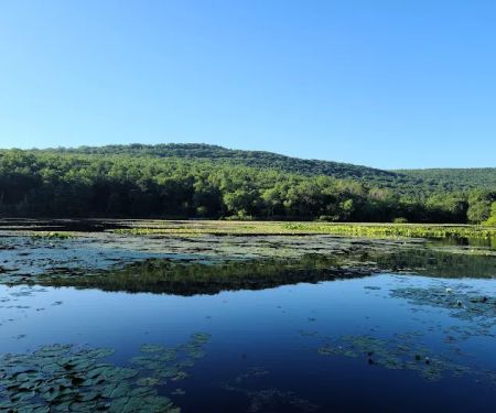 Pinegrove Furnace Group Campground