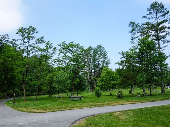 Pinegrove Furnace Group Campground Picture 3