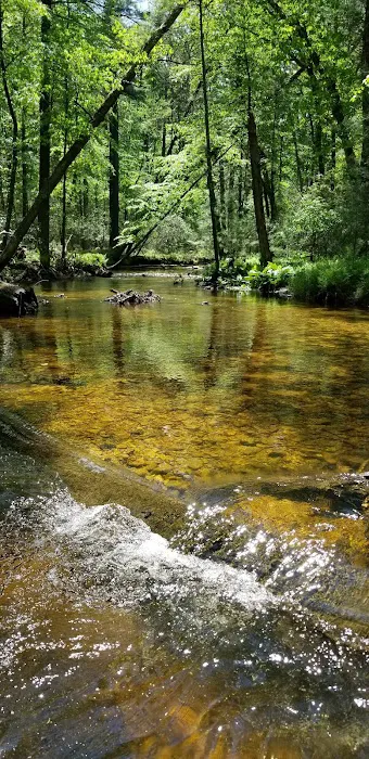 Charcoal Hearth Campground Picture 5