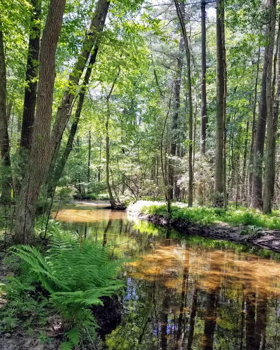 Charcoal Hearth Campground Picture 2