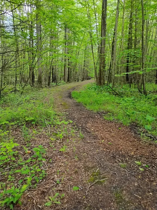 Charcoal Hearth Campground Picture 9