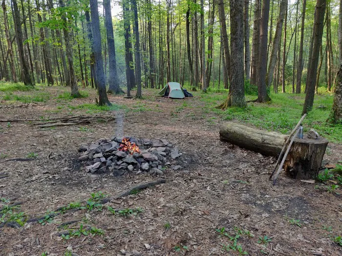 Primitive Campsite #5 Picture 1