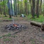 Primitive Campsite #5