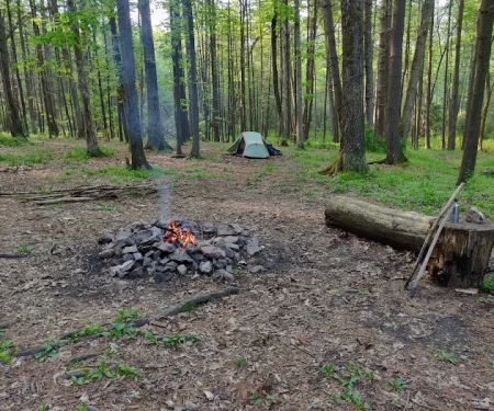 Primitive Campsite #5