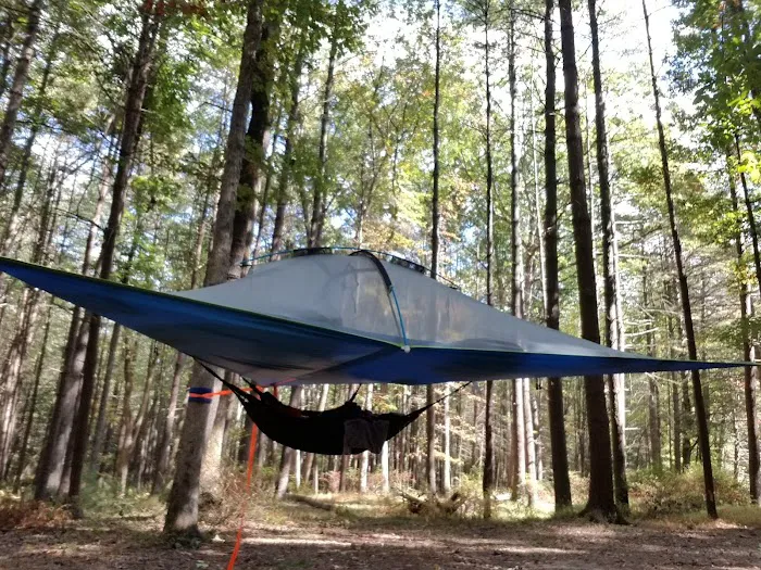 Primitive Campsite #5 Picture 8