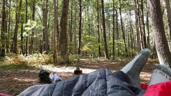 Primitive Campsite #5 Picture 3