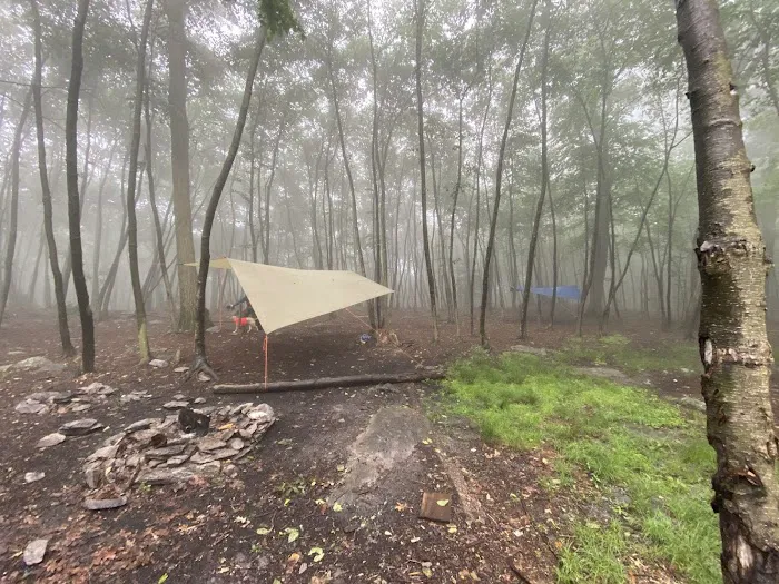 Primitive Campsite #4 Picture 8