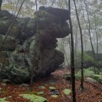 Primitive Campsite #4