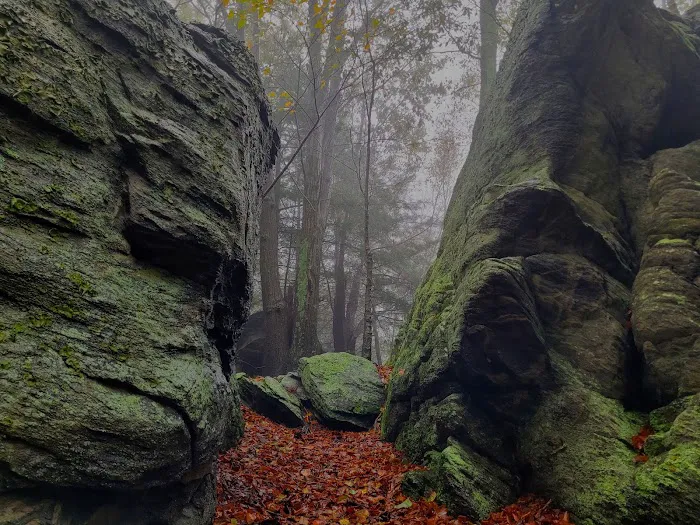 Primitive Campsite #4 Picture 5