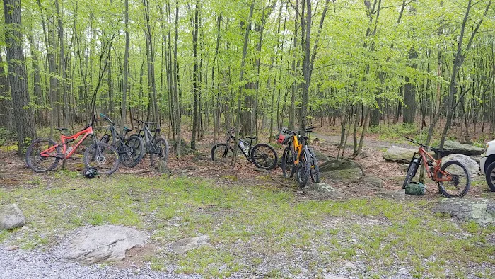 Primitive Campsite #4 Picture 3