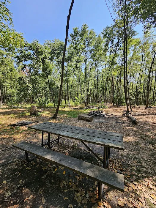 Primitive Campsite #4 Picture 9