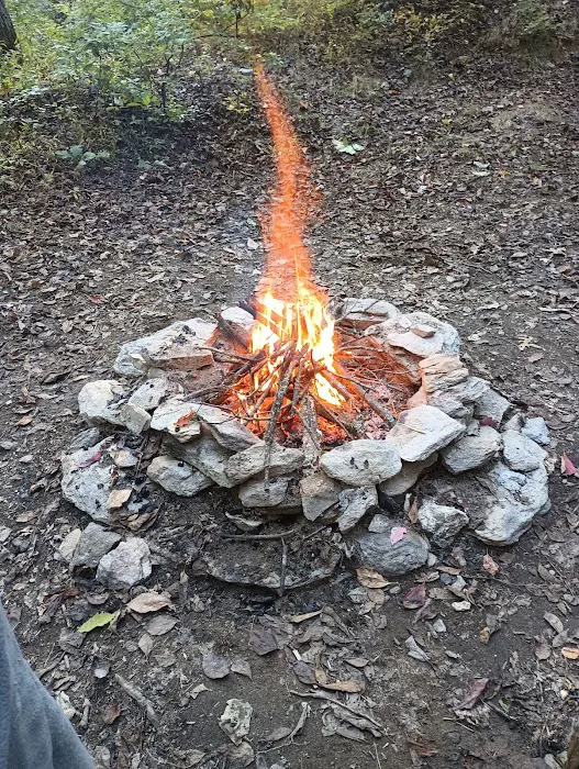 Primitive Campsite #4 Picture 4