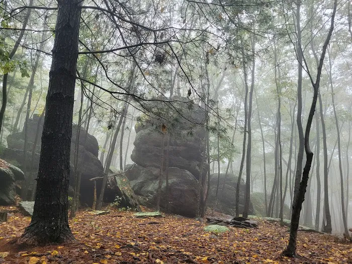 Primitive Campsite #4 Picture 7