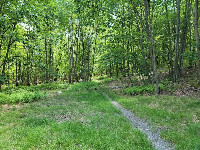 Primitive Campsite #7 Picture 4