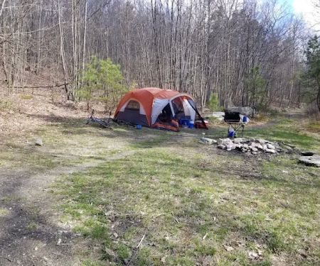 Primitive Campsite #7