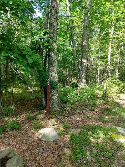 Primitive Campsite #7 Picture 3