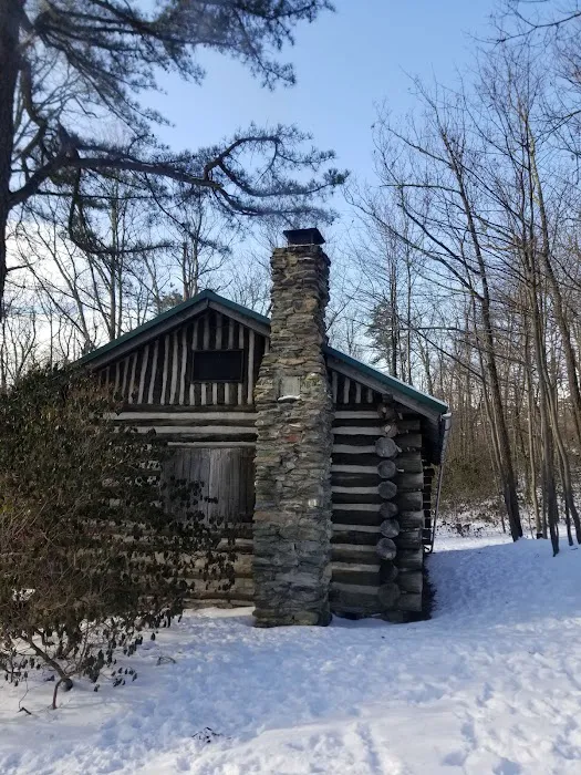 Anna Michener Cabin Picture 2