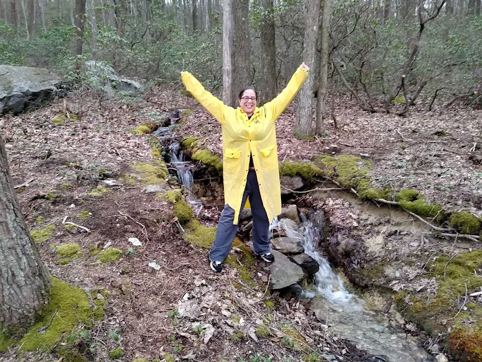 Primitive Campsite #8 Picture 10