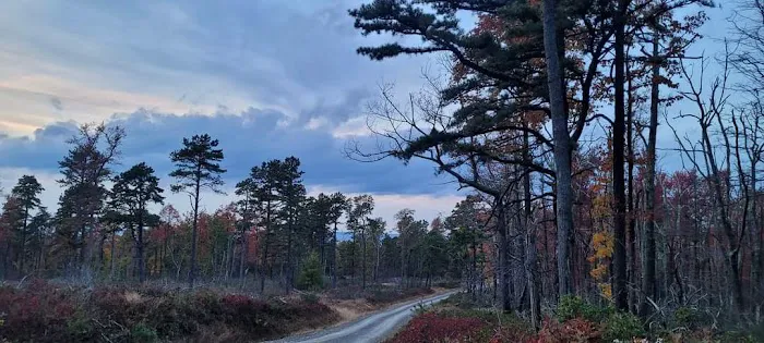 Primitive Campsite #8 Picture 2