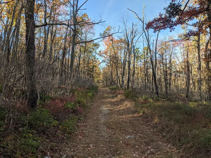 Primitive Campsite #8 Picture 9