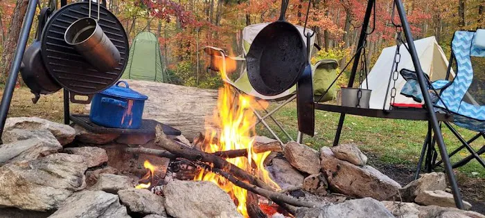 Primitive Campsite #8 Picture 1