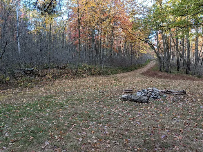 Primitive Campsite #8 Picture 8