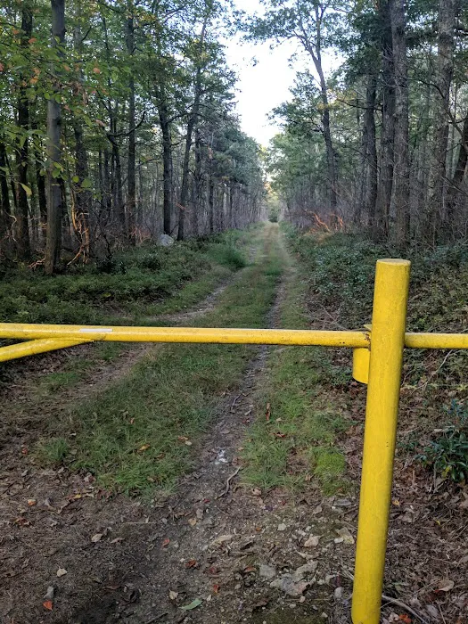 Primitive Campsite #8 Picture 7