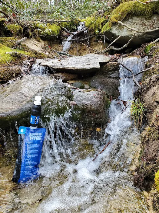 Primitive Campsite #8 Picture 4