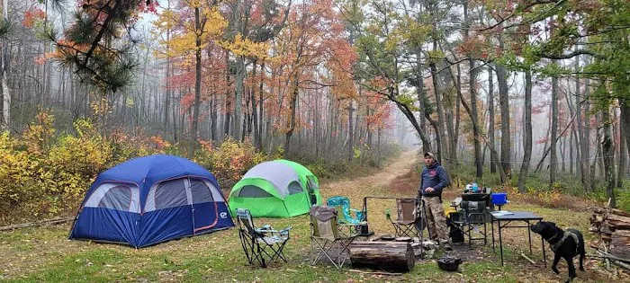 Primitive Campsite #8 Picture 6