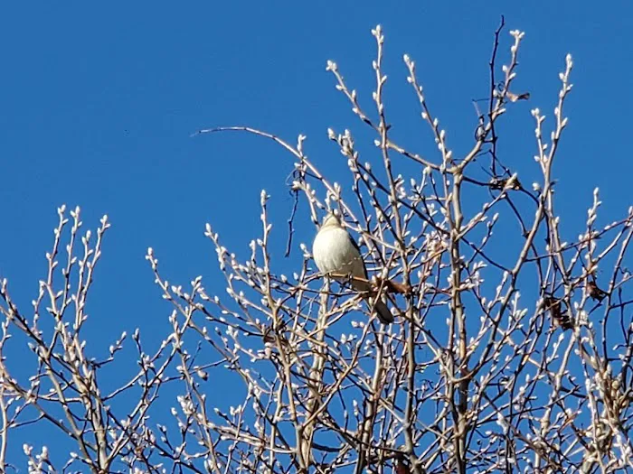 Sandy Point State Park Youth Group Camp Ground Picture 5