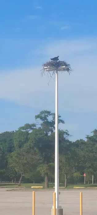 Sandy Point State Park Youth Group Camp Ground Picture 1